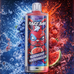 Blueberry Watermelon – 60.000 puff